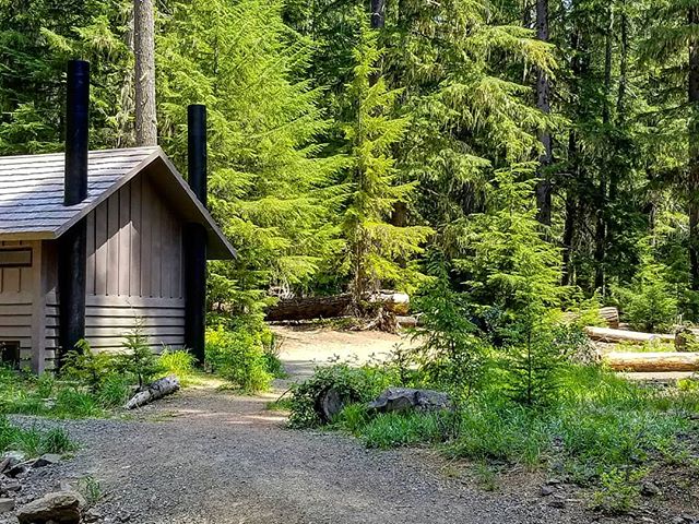 A wooden outhouse sits near a path in a tranquil green forest on a sunny day.