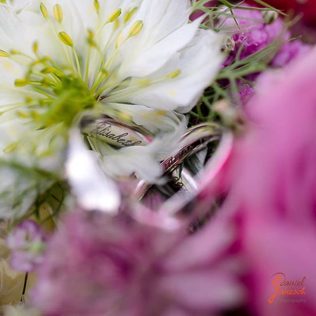Close-up of wedding rings nestled in a bouquet of white and pink flowers, symbolizing love and commitment.