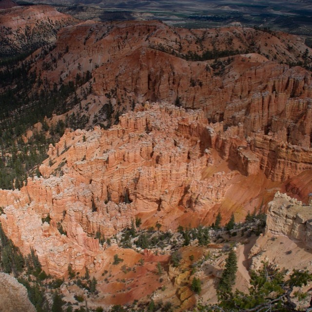 Panoramic view of Bryce Canyon's iconic orange hoodoos, a captivating natural landscape in Utah.
