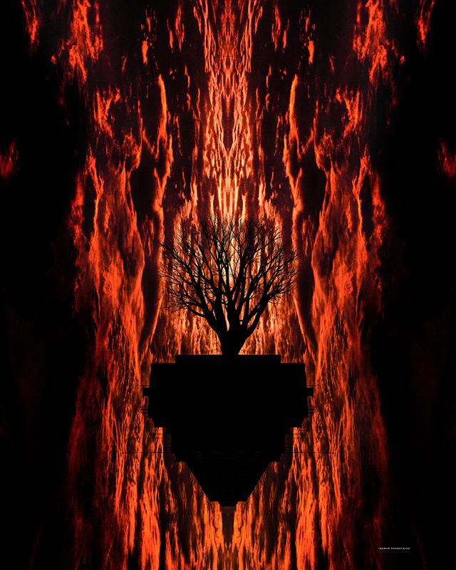 A silhouette of a tree against an abstract fiery background, creating a surreal and intense atmosphere.