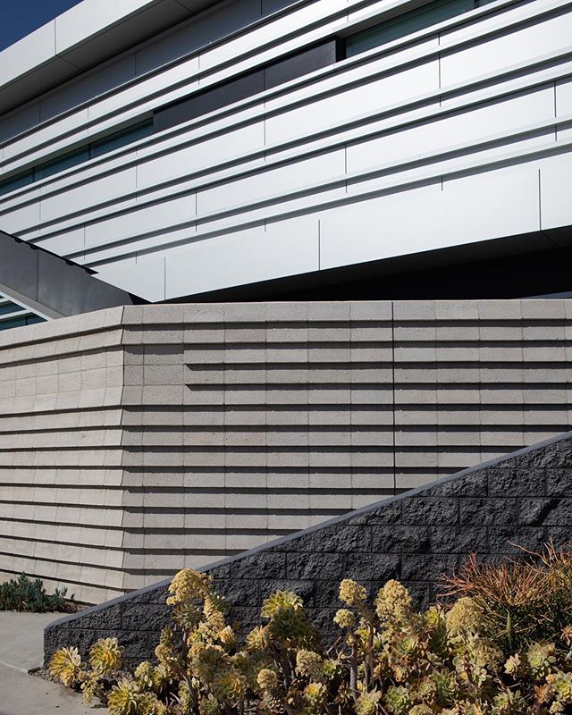 A modern building facade with architectural walls and greenery, showcasing urban design and contemporary style.