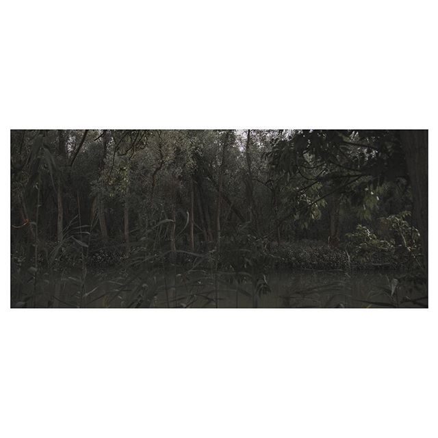 A serene and dark forest landscape with trees reflected in the tranquil water creating a moody atmosphere.