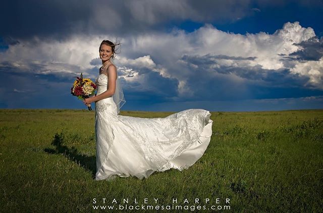 A smiling bride in a white dress stands in a field with a bouquet under a dramatic sky.