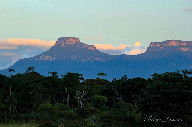 Scenic view of table mountains (tepuys) rising above a lush tropical forest landscape in soft, natural lighting.