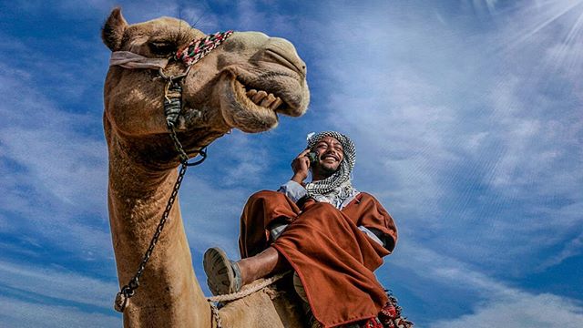 A happy arab man riding a camel answers a phone call in the desert against a blue sky.