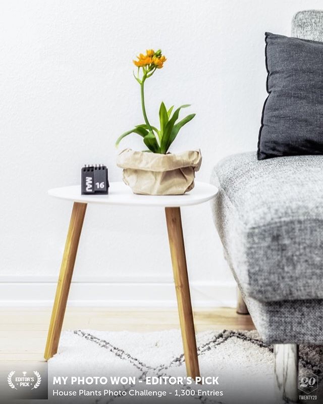 A potted plant with orange flowers sits on a table next to a gray sofa in a bright, modern living room.