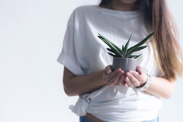 A woman gently holds a small potted plant, showcasing a moment of tranquility and connection with nature.
