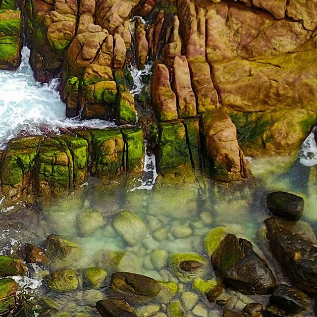 Coastal rocks covered in green moss meet the clear ocean water, creating a tranquil scene of nature's beauty.