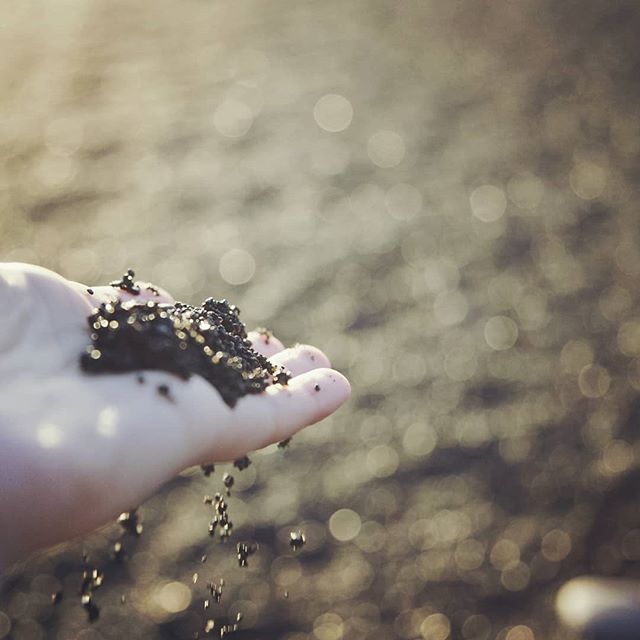 A hand gently holds sand, blurred background evoking tranquility and peace at the beach.