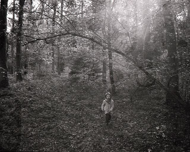 A child walks through a black and white forest under a canopy of trees, evoking a sense of peaceful exploration.