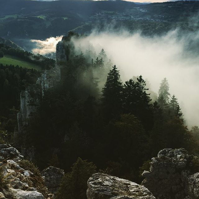 Misty mountain landscape with lush forest and rock formations creates a tranquil and mysterious nature scene.