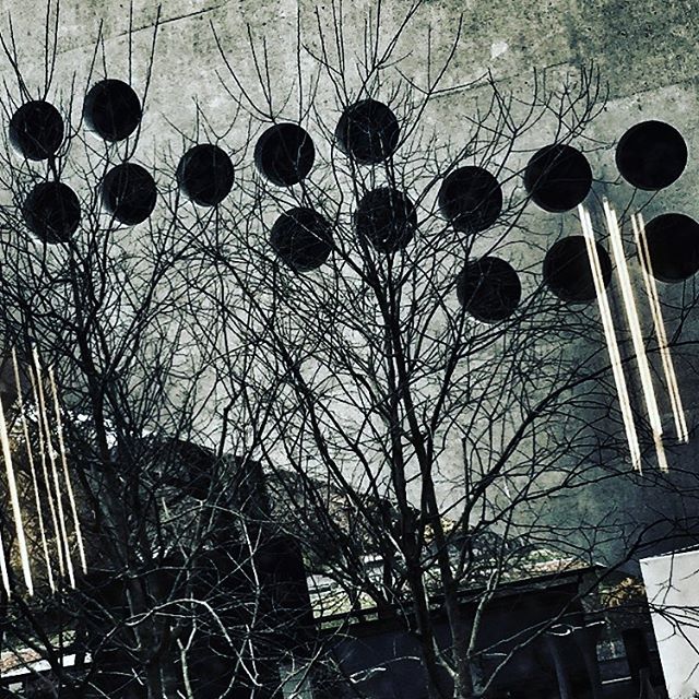 A grayscale image of trees with black circular ornaments against a concrete wall, creating a moody and abstract scene.