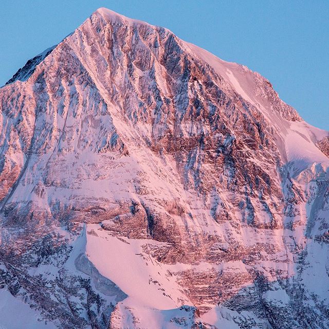 A snow-covered mountain peak glows under the soft light of the sky.