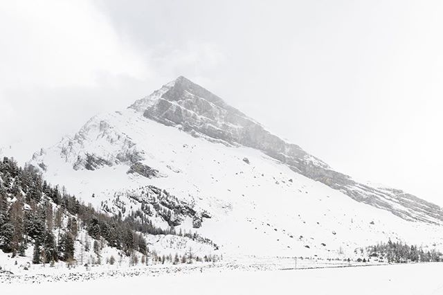 A snow-covered mountain with trees under a soft, diffused light, creating a serene winter landscape.