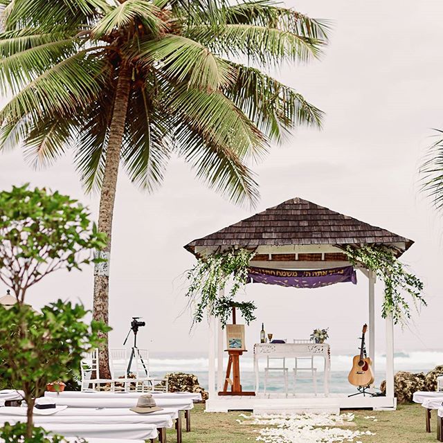 Beach wedding ceremony setting with a gazebo, palm tree, and white seating arrangement near the ocean.