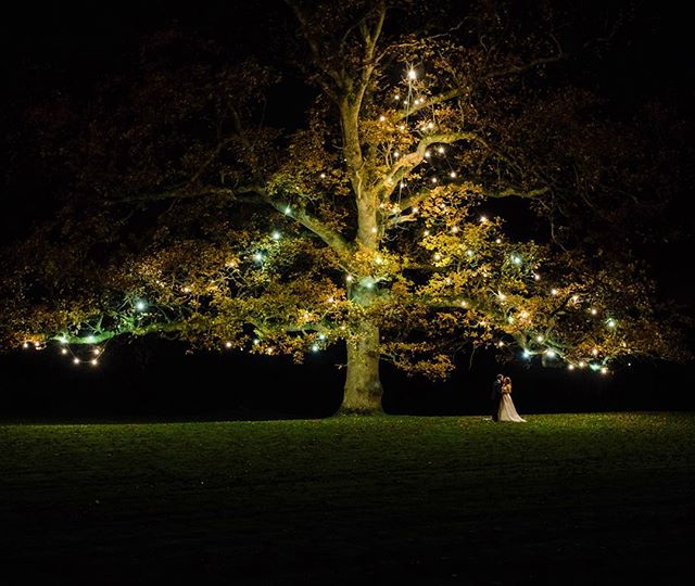 A bride and groom embrace under a large tree adorned with lights on their wedding night.