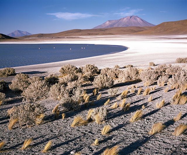 Tranquil desert scene with a lake, mountains, and arid landscape, capturing the serene beauty of Bolivia's salt flats.