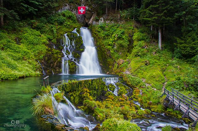 A scenic view of a mossy waterfall in a lush forest under a swiss flag, creating a tranquil nature escape.