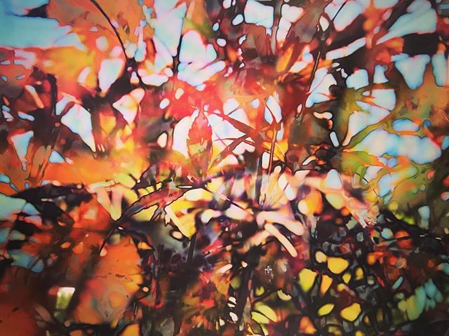 Abstract image of fall leaves in warm hues, creating a dreamy and serene botanical background.
