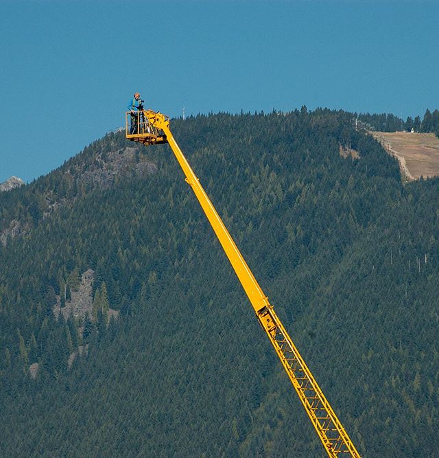 A person works high above the trees on a cherry picker.