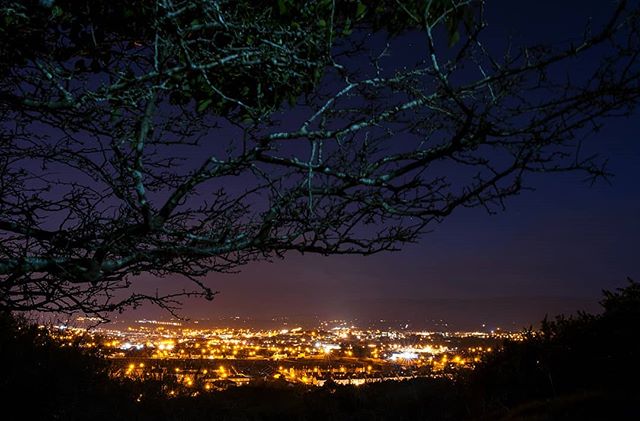City lights illuminate the night under a dark blue sky, seen through bare tree branches.