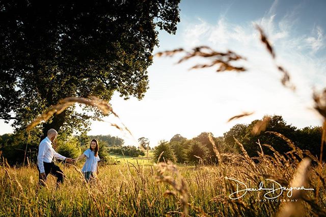 A couple walks hand-in-hand through a golden field on a sunny day, creating a romantic and serene outdoor scene.
