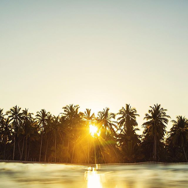 Sun shining through palm trees on a tropical beach creating a relaxing, tranquil scene.
