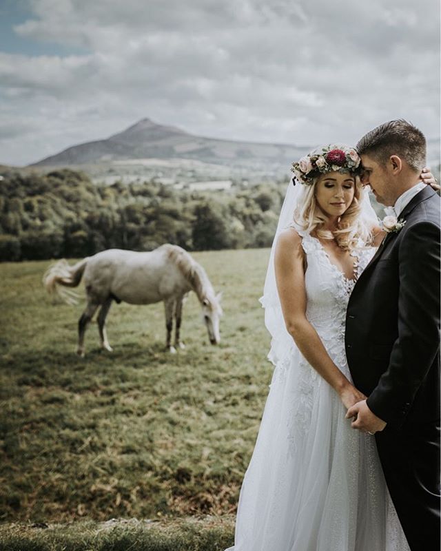 A bride and groom share an intimate moment in a field with a horse grazing nearby, set against a mountain backdrop.