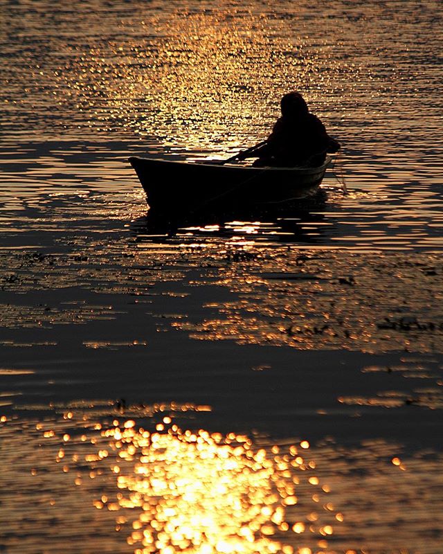 A lone rower in silhouette glides across the water in a small boat as the setting sun reflects off the lake.