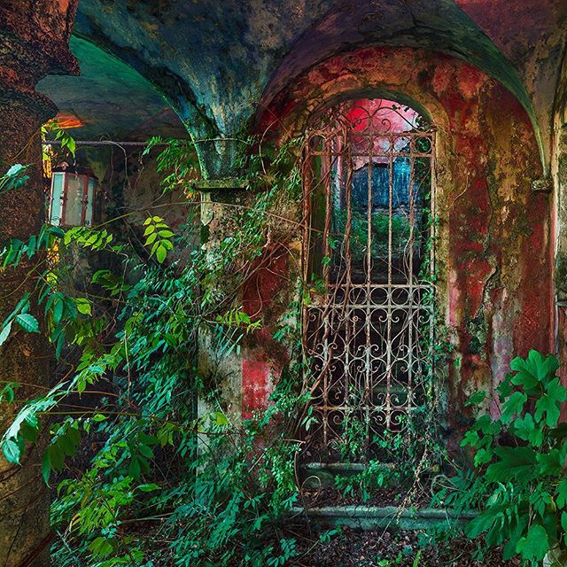 An old weathered gate covered in ivy stands under an archway in an abandoned building.