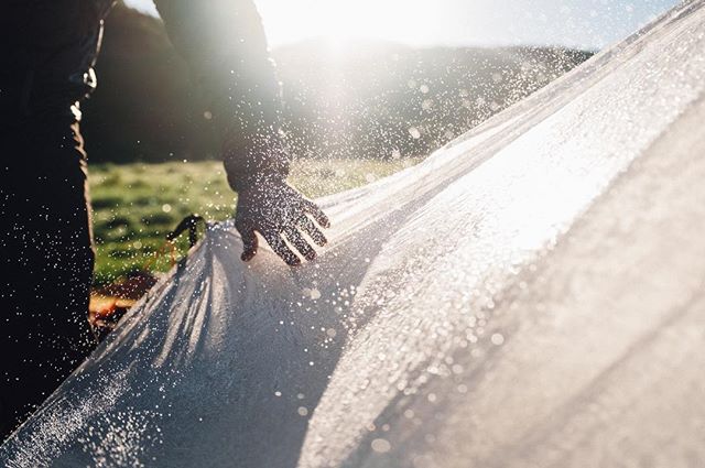 Close-up of a person's hand cleaning a surface, capturing a sense of cleanliness and outdoor freshness.