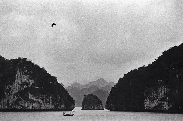 A scenic black and white landscape of islands in a bay, with a bird in flight and a small boat on the water.