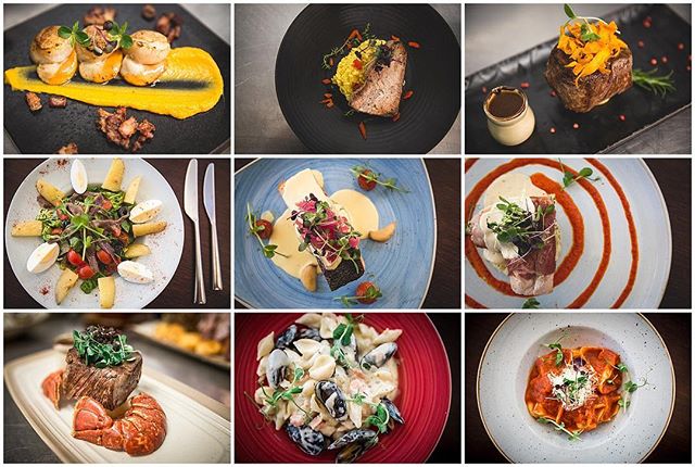 A curated collection of gourmet dishes, artfully plated, showcasing modern cuisine perfect for restaurant promotions.