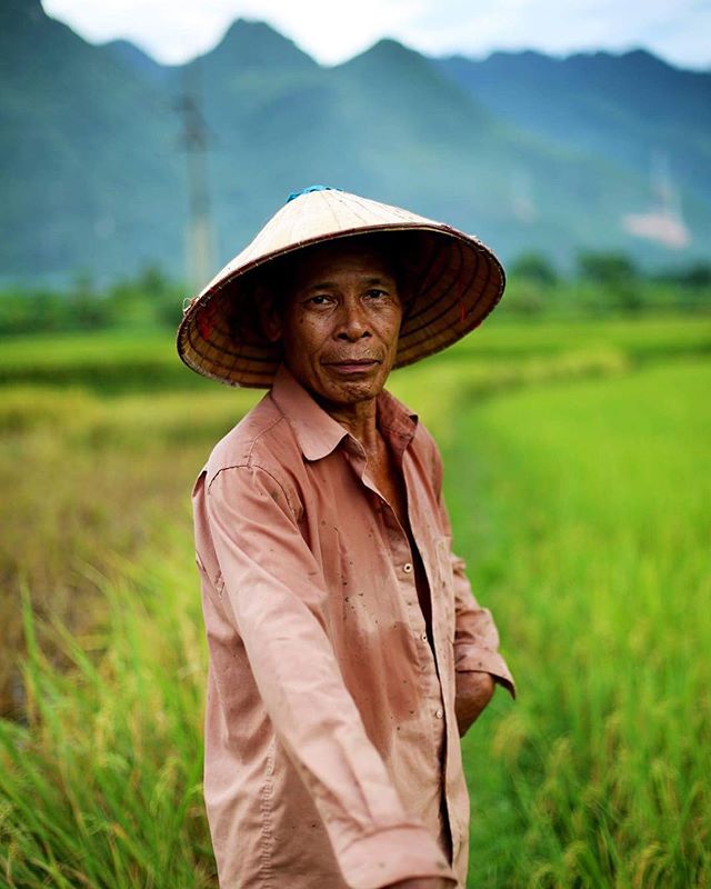 A farmer in a traditional hat stands in a field with mountains in the background.