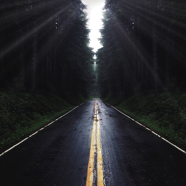 A road stretches through a dark forest, creating a scenic and mysterious landscape.