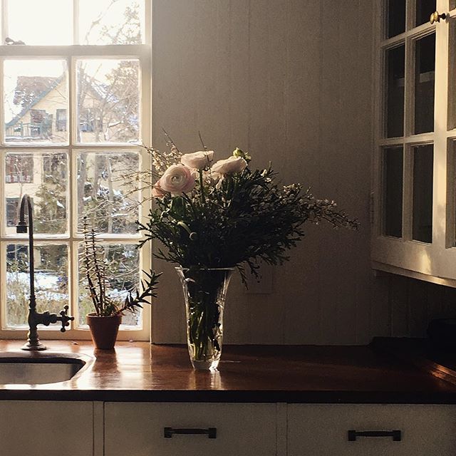 A serene kitchen scene with ranunculus flowers in a vase by the window creates a calming, vintage-inspired ambiance.