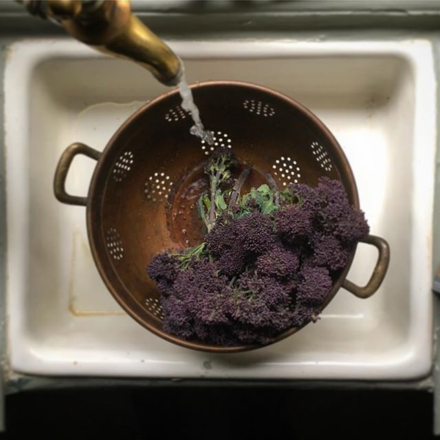 A colander filled with purple broccoli under a running faucet in a white kitchen sink.