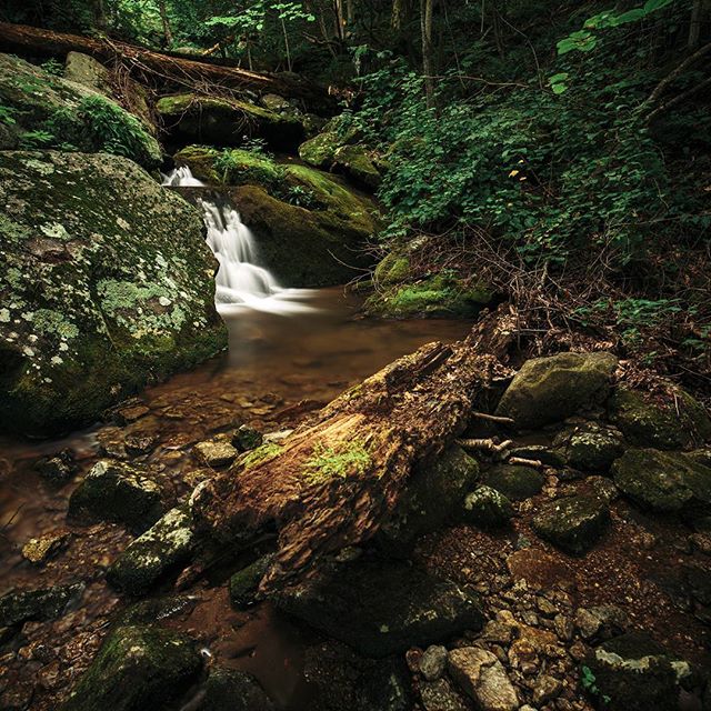 A tranquil waterfall cascades through a lush, mossy forest, capturing a serene and peaceful natural scene.