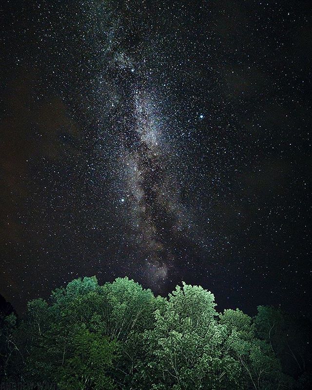 The Milky Way shines brightly above lush green trees under a dark night sky, capturing the serene beauty of nature.