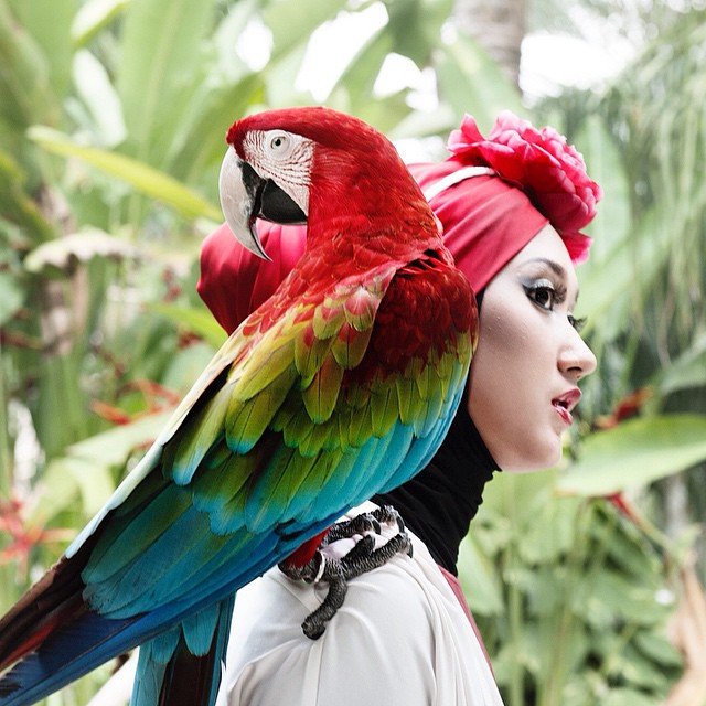 A woman with red headscarf poses with a colorful macaw perched on her shoulder.