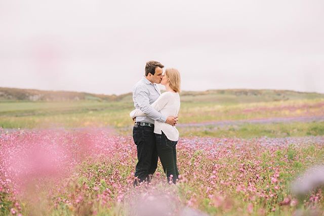 A couple embraces and kisses in a field of wildflowers on a bright day, showcasing a natural and romantic scene.
