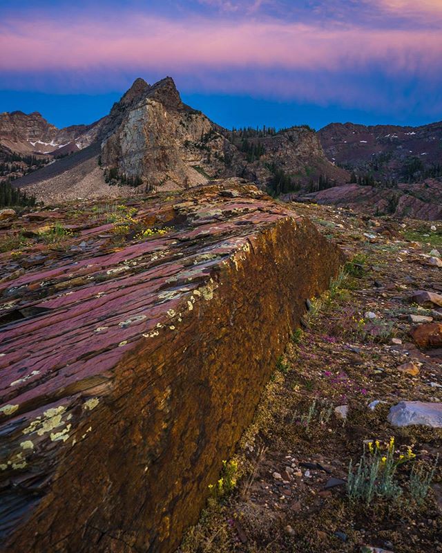 A scenic mountain landscape with a distinctive peak, wildflowers, and rocky foreground at dusk.