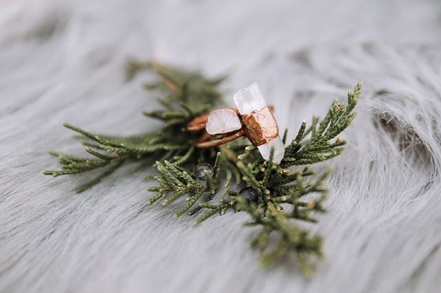 Close-up of crystal rings on a juniper branch creates a dreamy and intimate aesthetic.