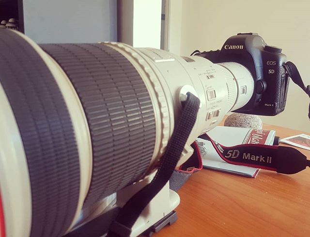 A Canon EOS 5D Mark II camera with a telephoto lens sits on a table, ready for professional use.
