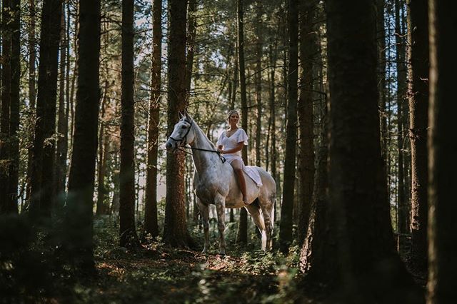 A woman in a white dress rides a white horse through a serene forest, bathed in soft, diffused natural light.