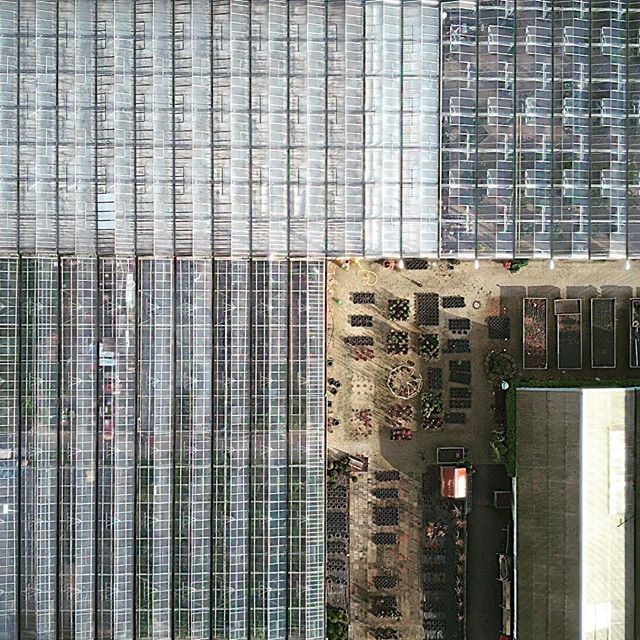 Aerial view of greenhouses and a plant nursery, showcasing organized agricultural production.