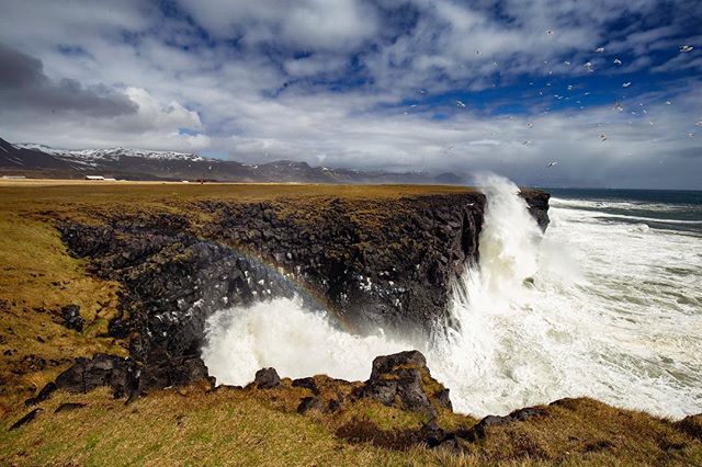 Waves crash against cliffs on Iceland's coast, creating a vibrant rainbow as seagulls fly overhead.