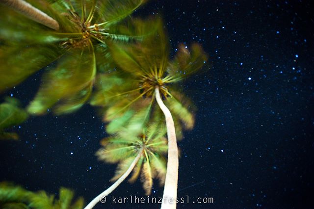 Looking up at swaying palm trees against a starlit night sky creates a serene and tranquil tropical scene.