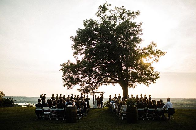 Outdoor wedding ceremony under a large tree with wedding guests attending the event.