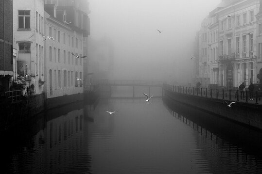 A black and white scene of a canal running through buildings, shrouded in dense fog with birds flying above.